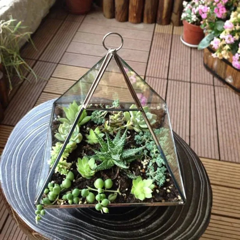 Glass Geometric Shape Terrarium Ideal for Plants