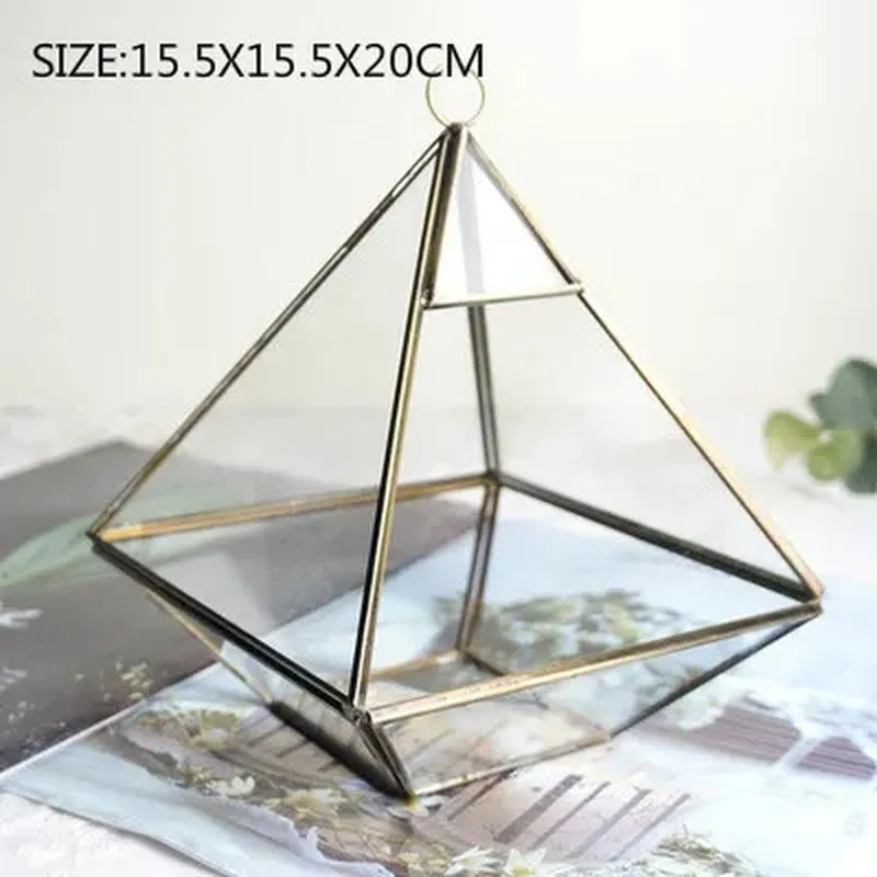 Glass Geometric Shape Terrarium Ideal for Plants