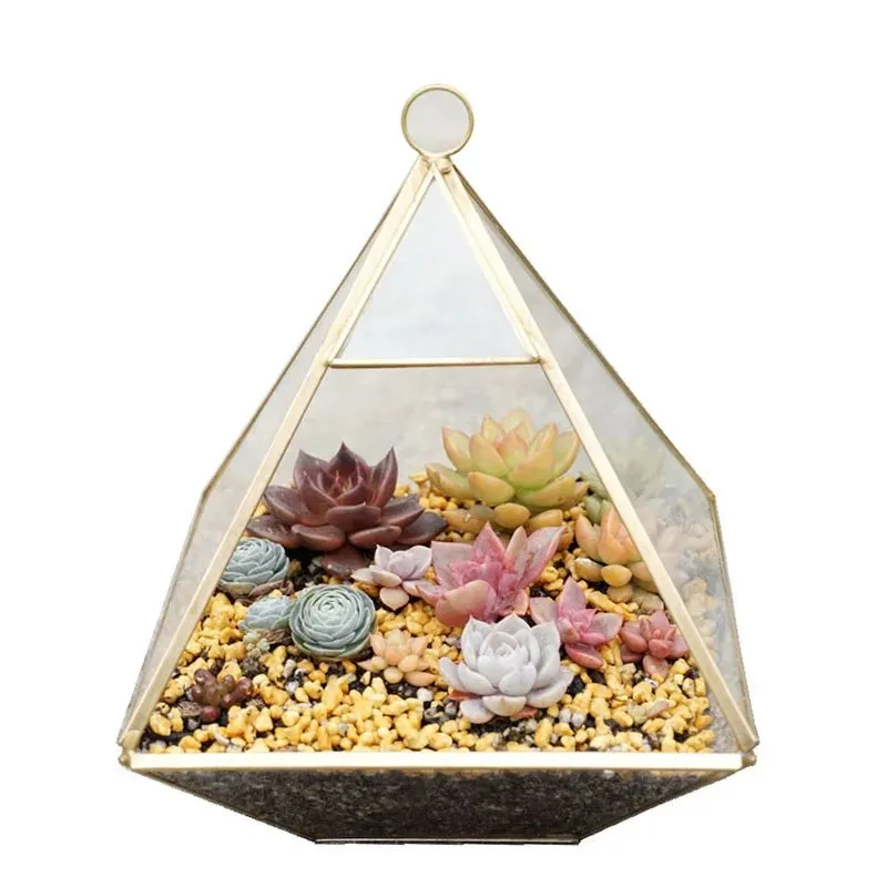 Glass Geometric Shape Terrarium Ideal for Plants