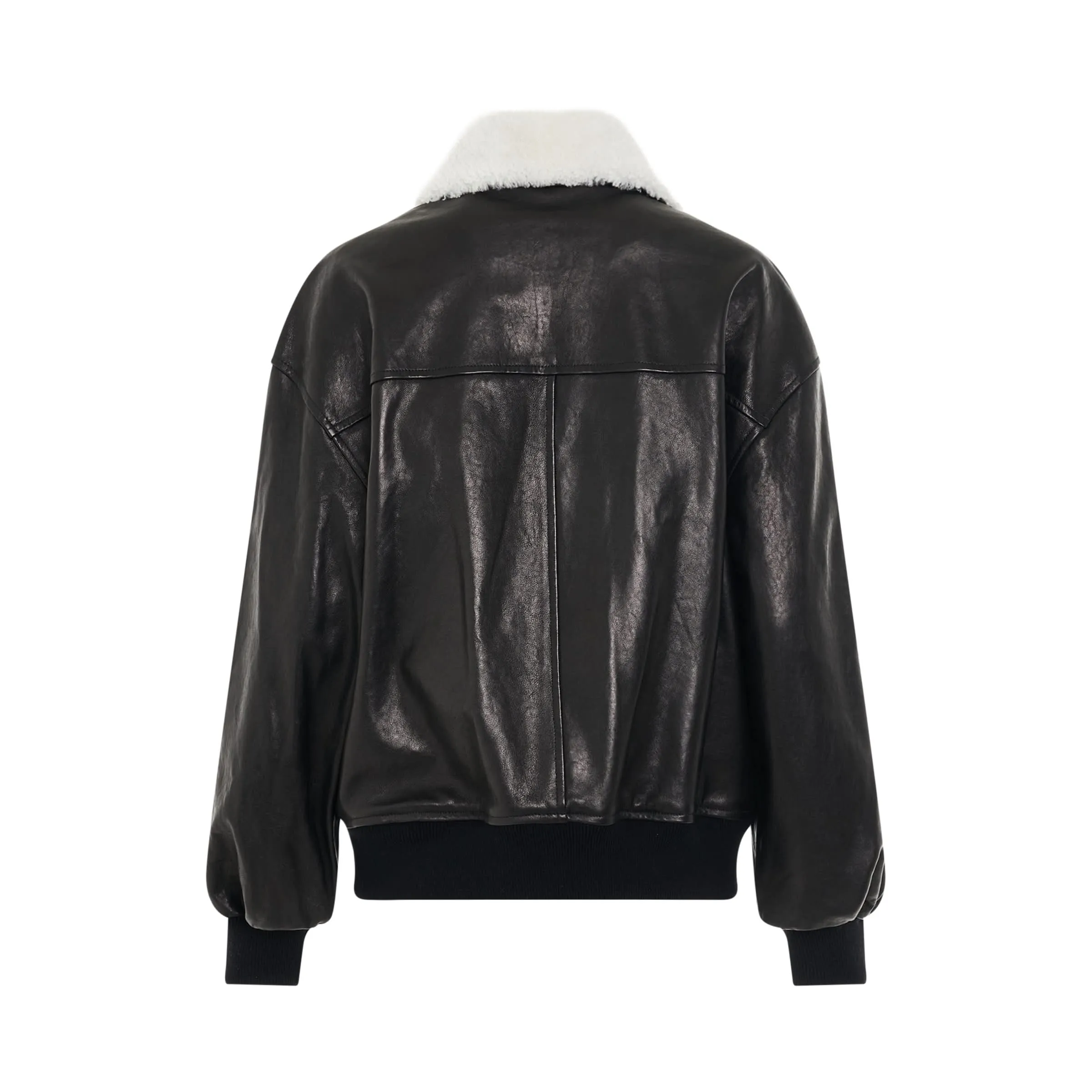 Shellar Leather Jacket in Black