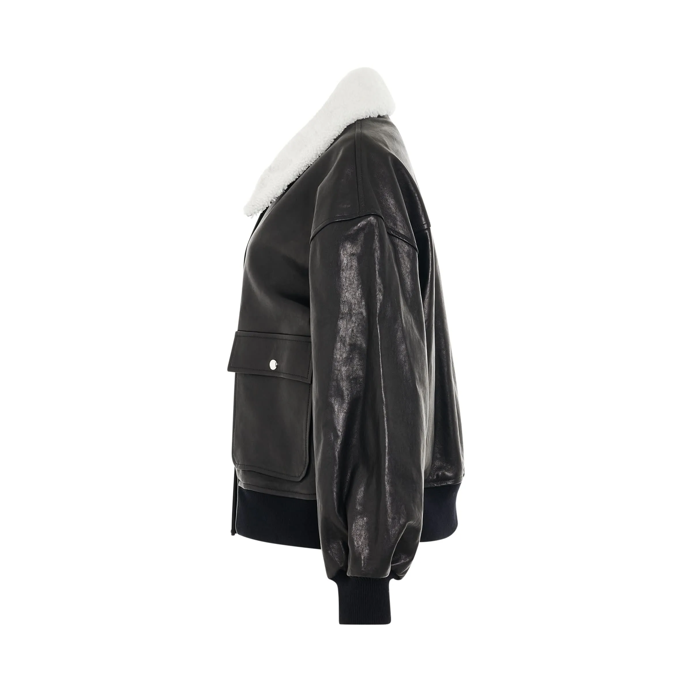 Shellar Leather Jacket in Black